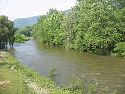 Lycoming Creek at Trout Run