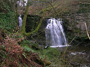 Lynn Spout, Caaf Water