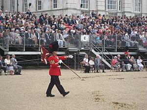 Marker on Horseguards