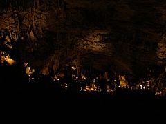 NaturalBridgeCaverns18