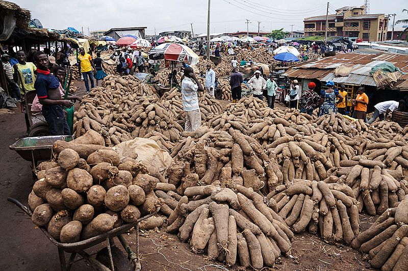 Nigeria yam2