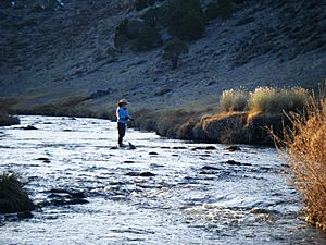 PamFlyFishingHotCreek