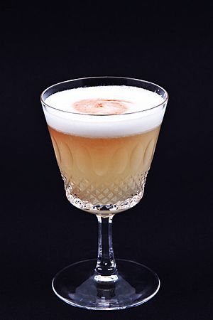 Pisco Sour 2