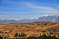 Quilted Fields, Andes (8642623276)