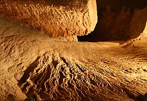 Rimstone - Endless Caverns, VA.jpg