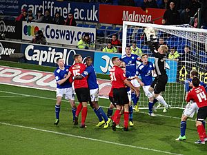 Schmeichel vs Cardiff