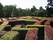 Scone maze