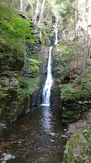 Silver Thread Falls Boardwalk View