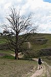 Six Foot Track Megalong Valley.jpg