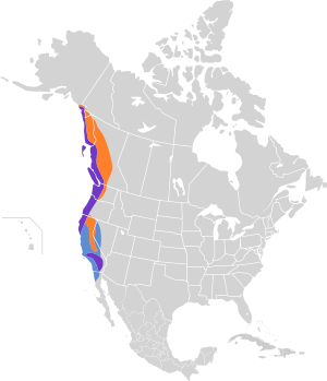 Sphyrapicus ruber map.svg