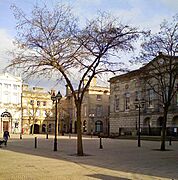 Stafford shire hall