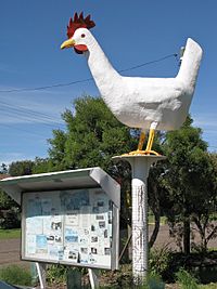 The Big Chook, Moonbi.jpg