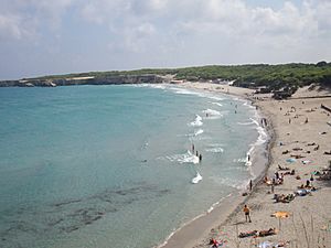 Torre dell'Orso