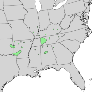 Ulmus serotina range map 3.png