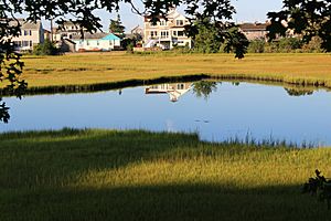 Wetlands, Groton Long Point