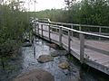 Whitefish Island flooded boardwalk with 7 flood control gates open