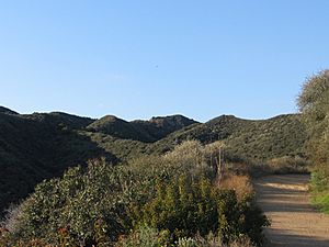 Will Rogers Park Trail.jpg