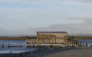 Ōkārito Lagoon MRD 01