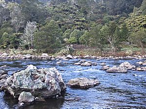 Abaconda qfse Karangahake Gorge