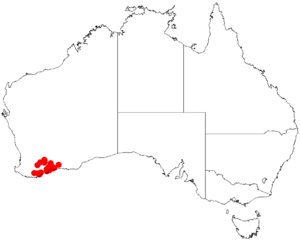 Acacia tetanophyllaDistMap890.png