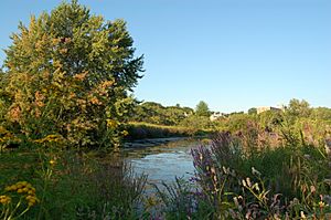 Alewife Brook Reservation