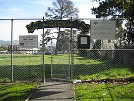 Bushrod Ballfields