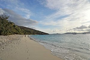 Caneel Bay Honeymoon Beach 1