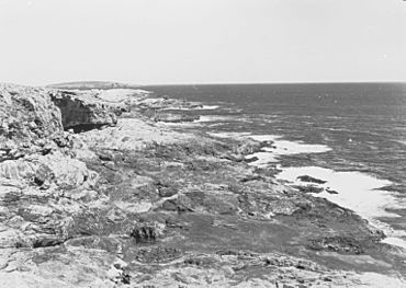 Cape Carnot(GN14450).jpg