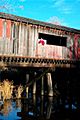 Covered Bridge in Brodhead