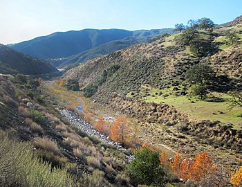 Cuyama river Hwy 166.jpg