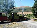 Dolgoch at Brynglas