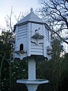 Dove house