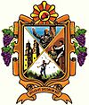 Official seal of Dolores Hidalgo