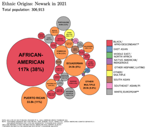 Ethnic Origins in Newark, NJ