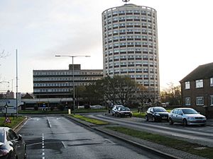 High-rise flats in Billingham - geograph.org.uk - 1591939