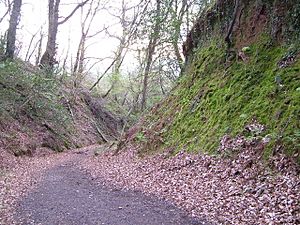 Holloway Lane, Haldon