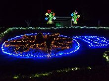 HunterValleyGardensXmasLightSpec2