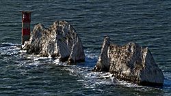 Iow needles closeup