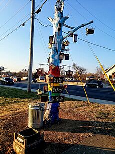 Joplin Rainbow Tree