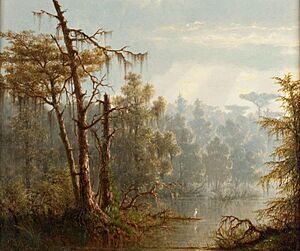 Joseph Rusling Meeker - Louisiana Bayou - 2013.39.1(LTL) - New Britain Museum of American Art