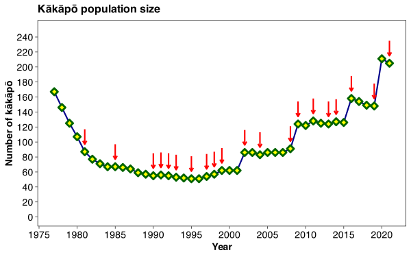 Kakapo-population-size