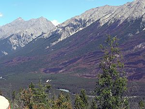 Kootenay valley