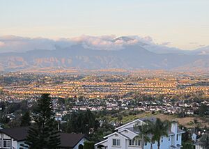 Laguna Niguel and Saddleback crop