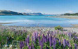 Lake Tekapo