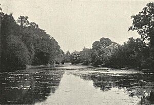 Lake in the Botanical Gardens