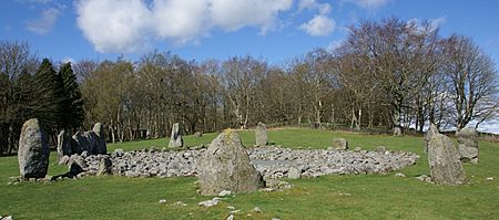 Loanhead Stone Circle 20080502 01