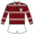 Manly-Warringah Jersey 1968