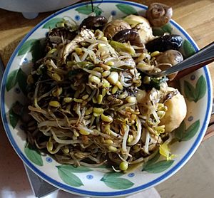 Mung bean sprouts, cooked