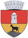 Coat of arms of Piatra Neamț