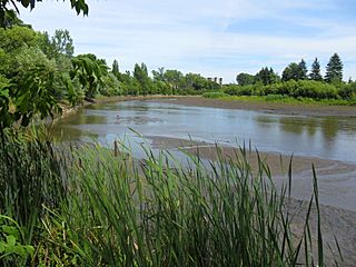 Rivière Saint-Charles (eaux basses)